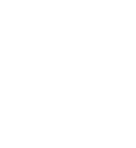 Fenix PDV
